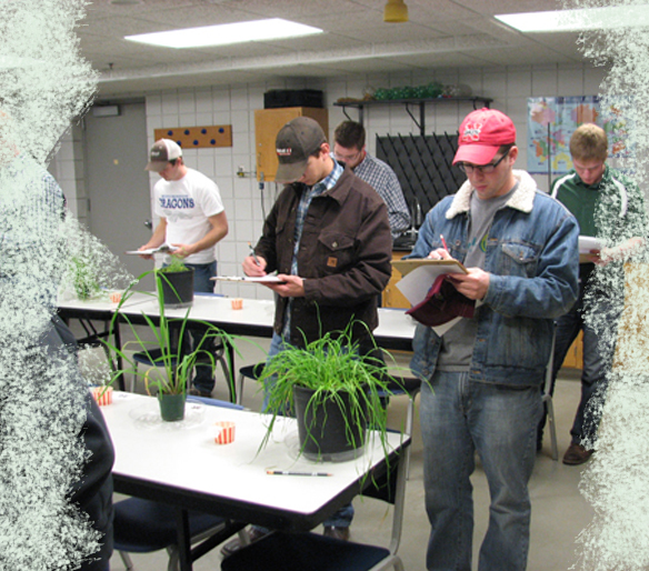 Agronomy Beyond the Classroom