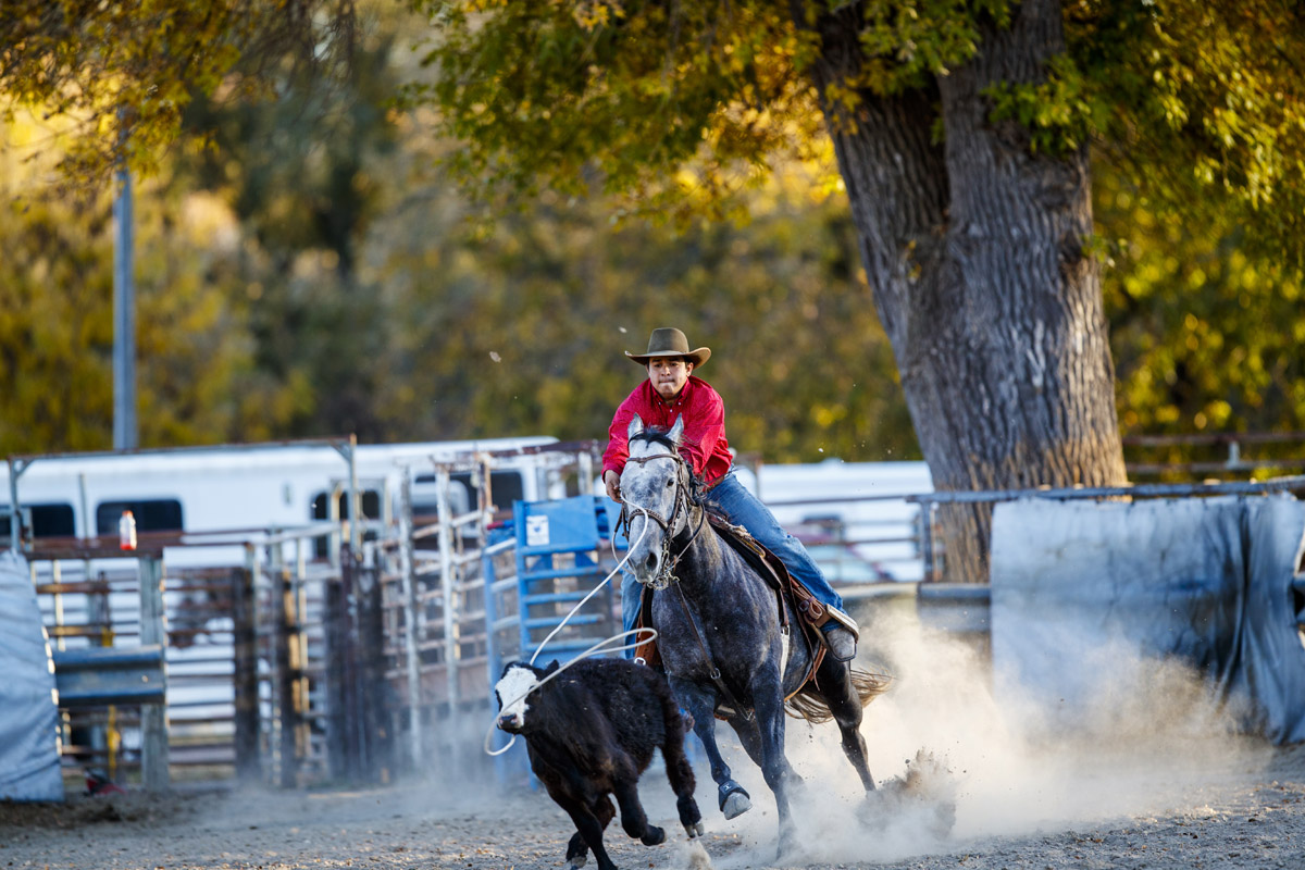 Aggie Rodeo is a popular competitive team at NCTA. (Craig Chandler / NCTA Photo)