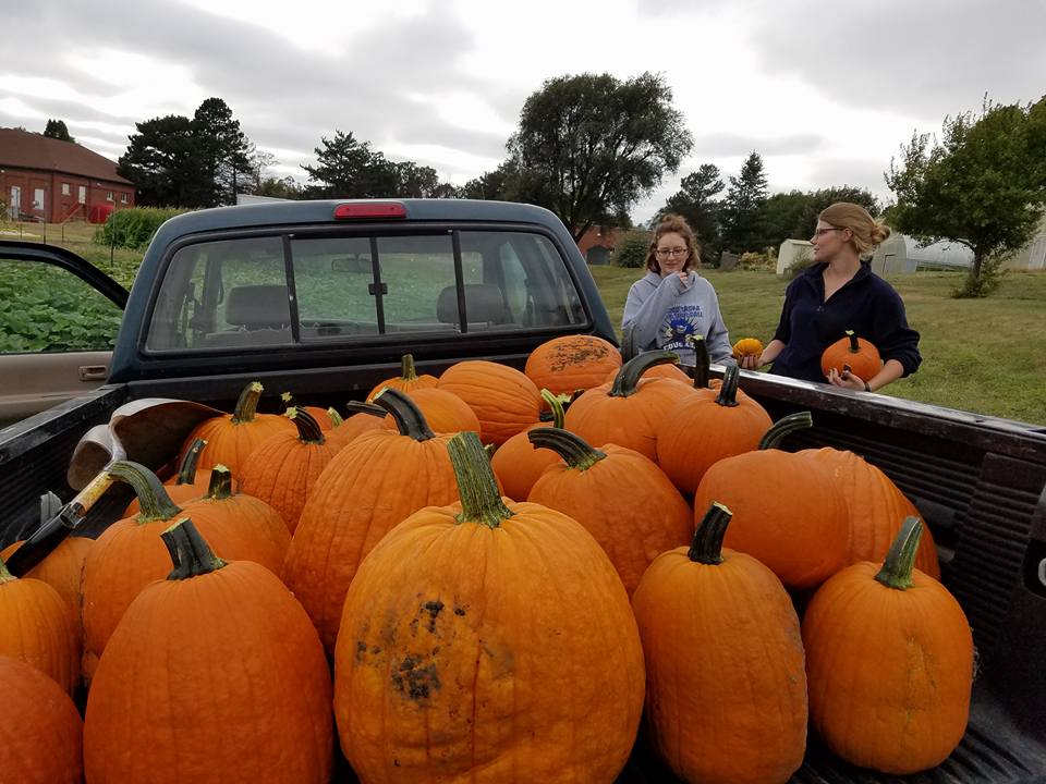 The NCTA Pumpkin Sale will again be hosted by the Horticulture Club. (File photo)