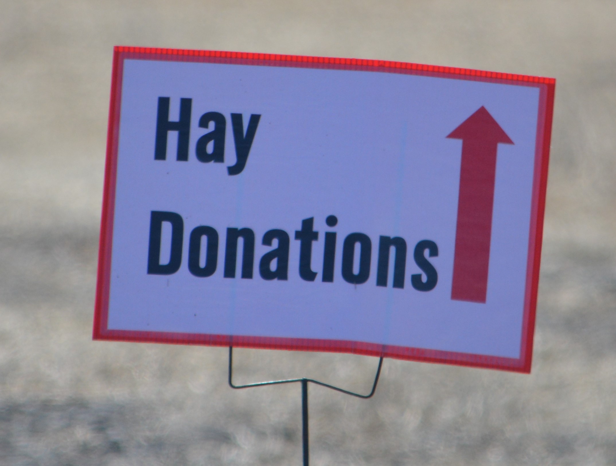 NCTA in Curtis is a collection point for hay bales to Nebraska disaster relief. (D. Pittman / Nebraska Extension) 