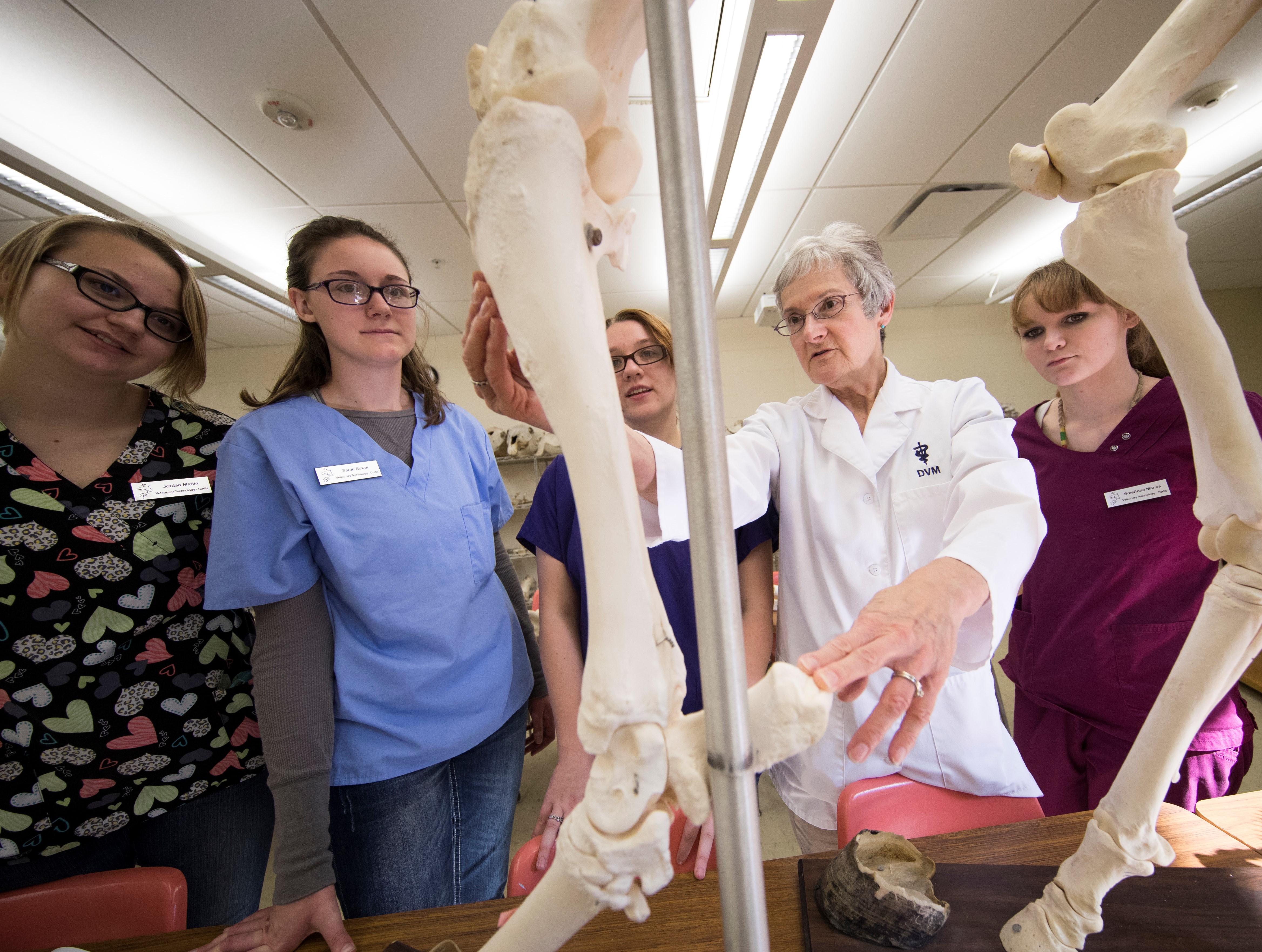 Professor Ricky Sue Barnes, DVM, teaches anatomy and physiology for veterinary technology students at the Nebraska College of Technical Agriculture. (Craig Chandler / University Communication)