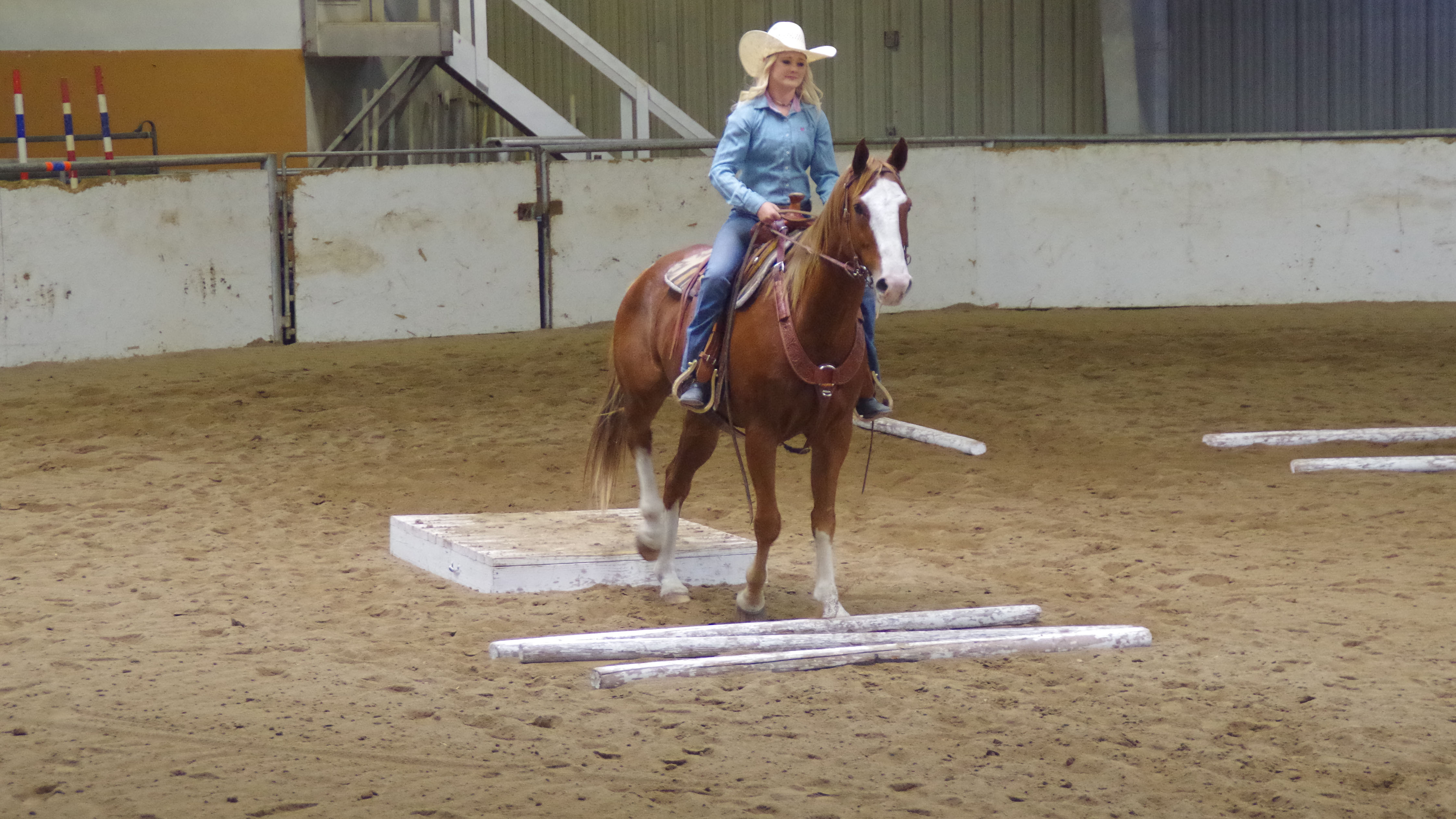 NCTA sophomore Addison Villwok, of Randolph, walks her horse Baxter through obstacles in the Ranch Trail Course at a recent stock horse versatility show. (Kelly Bennett photo for NCTA)   