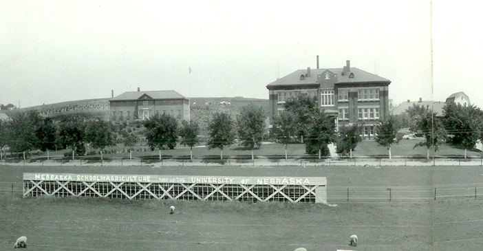 Sheep graze in the foreground of the old Aggie football field south of Agriculture Hall (three story brick at right). Ag Hall was the first structure built in 1912. At left, is the first residence hall. Both buildings are used today. (NCTA Archives)
