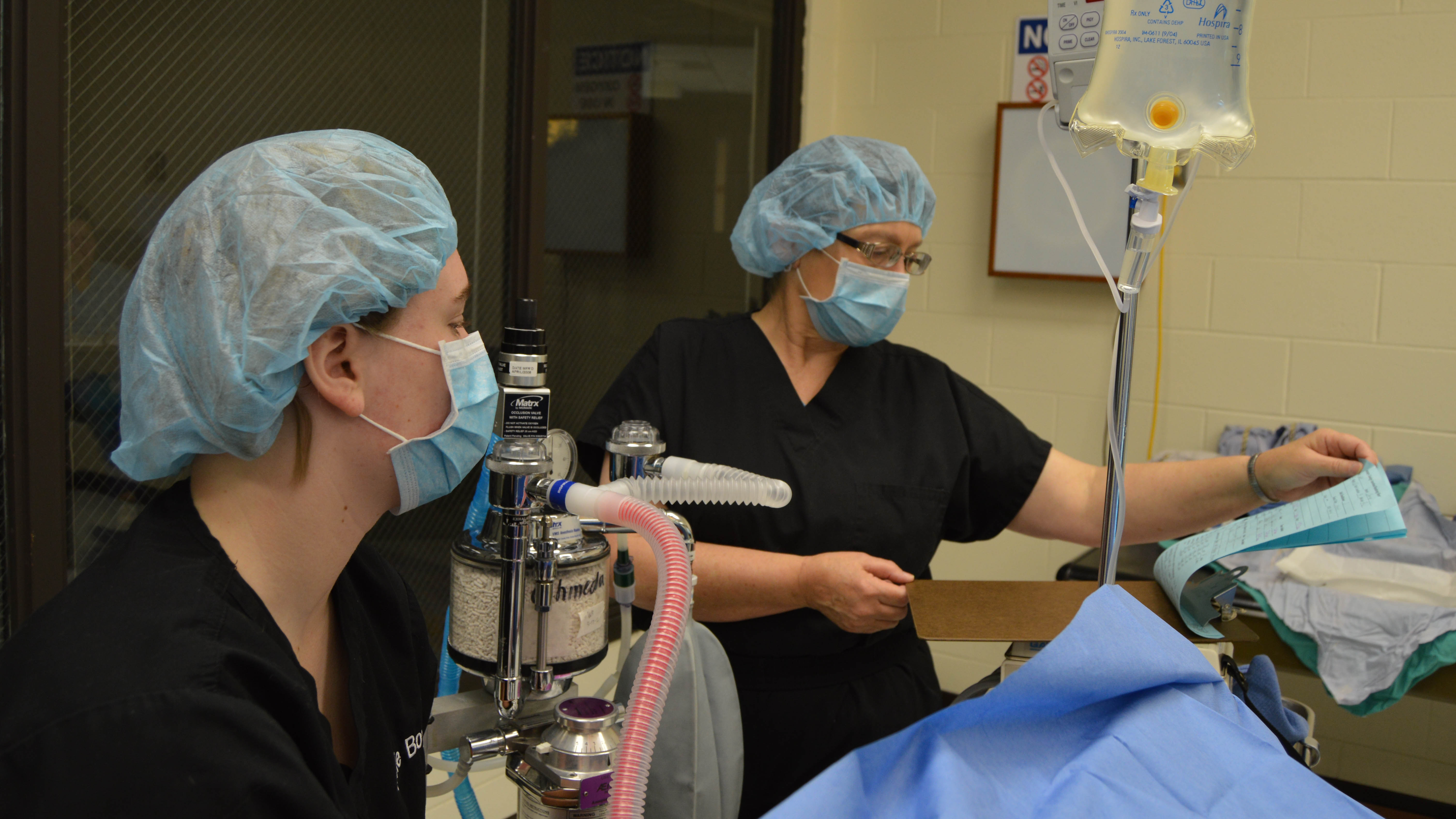 A veterinary technician student at the Nebraska College of Technical Agriculture is responsible for administering and monitoring respiration and anesthesia to a dog during surgery. Instructor Barb Berg, LVT, at right, reviews the charts during the procedure. (Mary Crawford / NCTA News photo)