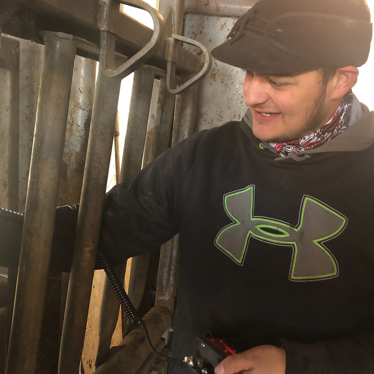 Cj Monheiser of Hershey was named Aggie of the Month for November. Here, he is chuteside processing cattle at the NCTA Farm. (Photo by D. Wellman/NCTA student)