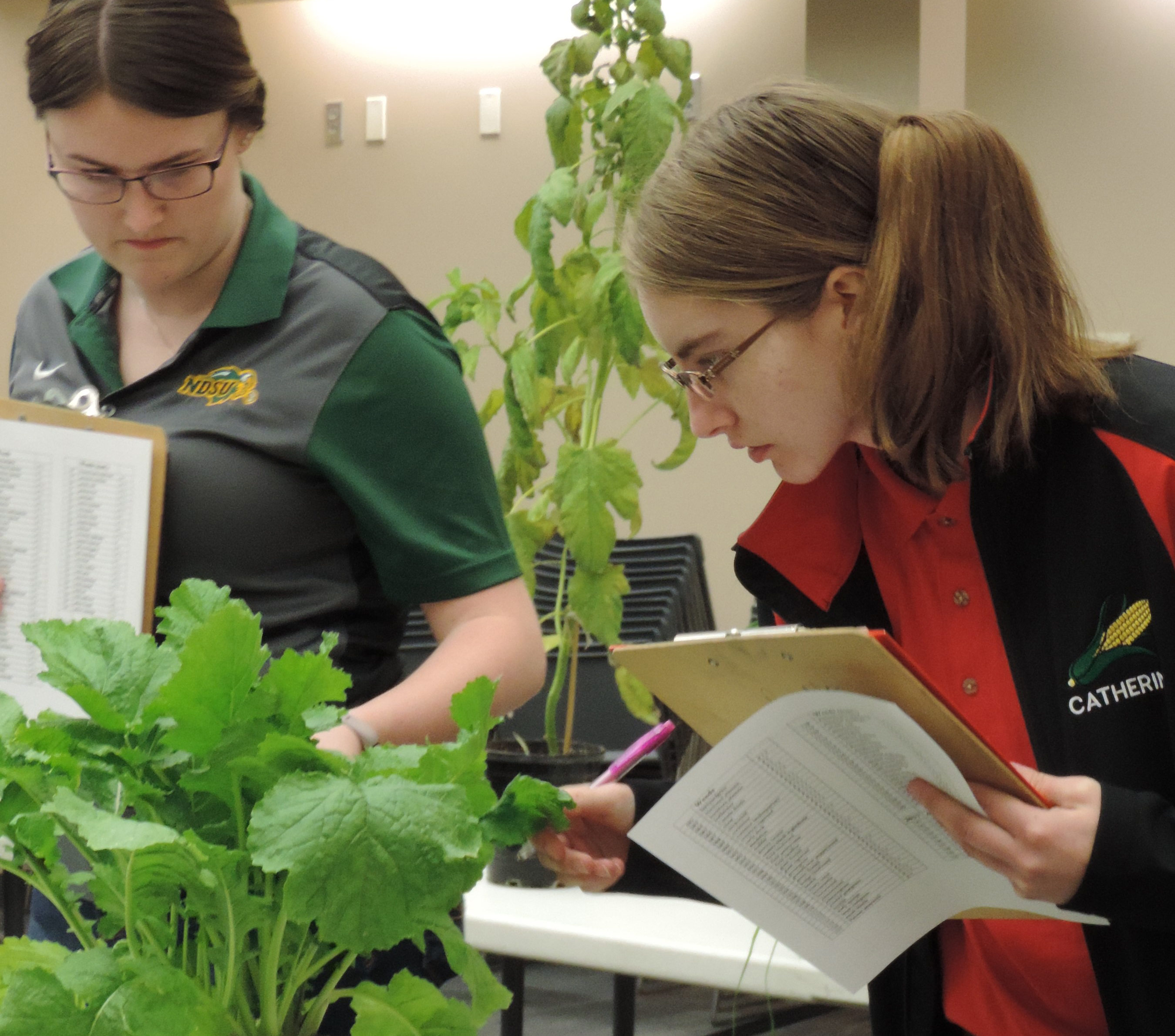 Catherine Ljunggren, an NCTA student from Harvard, at right, studies a plant for crops judging. (Mary Pat Hoag photo)