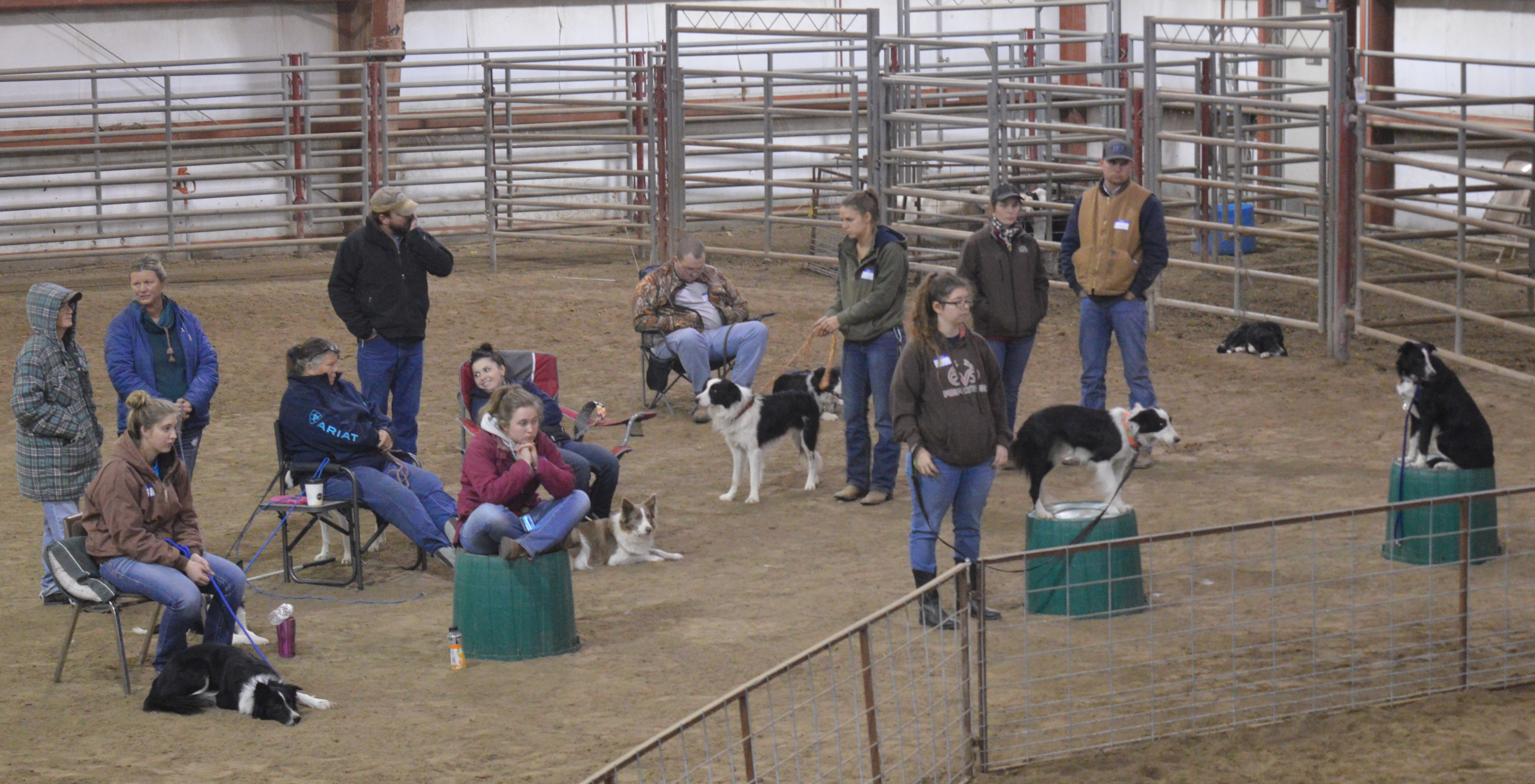  Participants and their stock dogs watch a Cow Dog Clinic in 2017 at the NCTA campus. (NCTA photo)