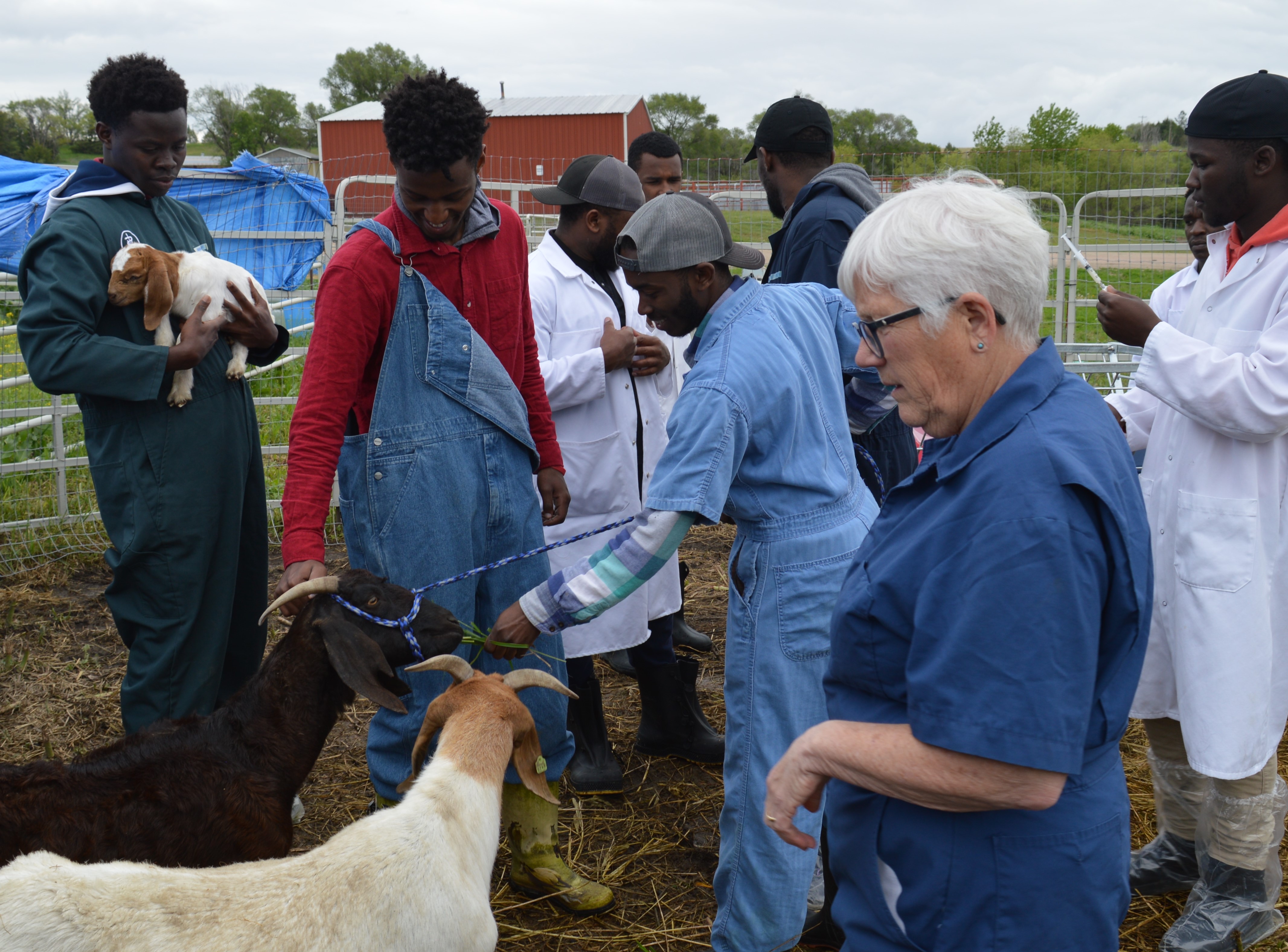 NCTA veterinary technology professor Judy Bowmaster-Cole instructed students on the proper administration of vaccine to adult goats as members of the Nebraska Coordinating Commission on Postsecondary Education observed the class. (Crawford/NCTA News) 
