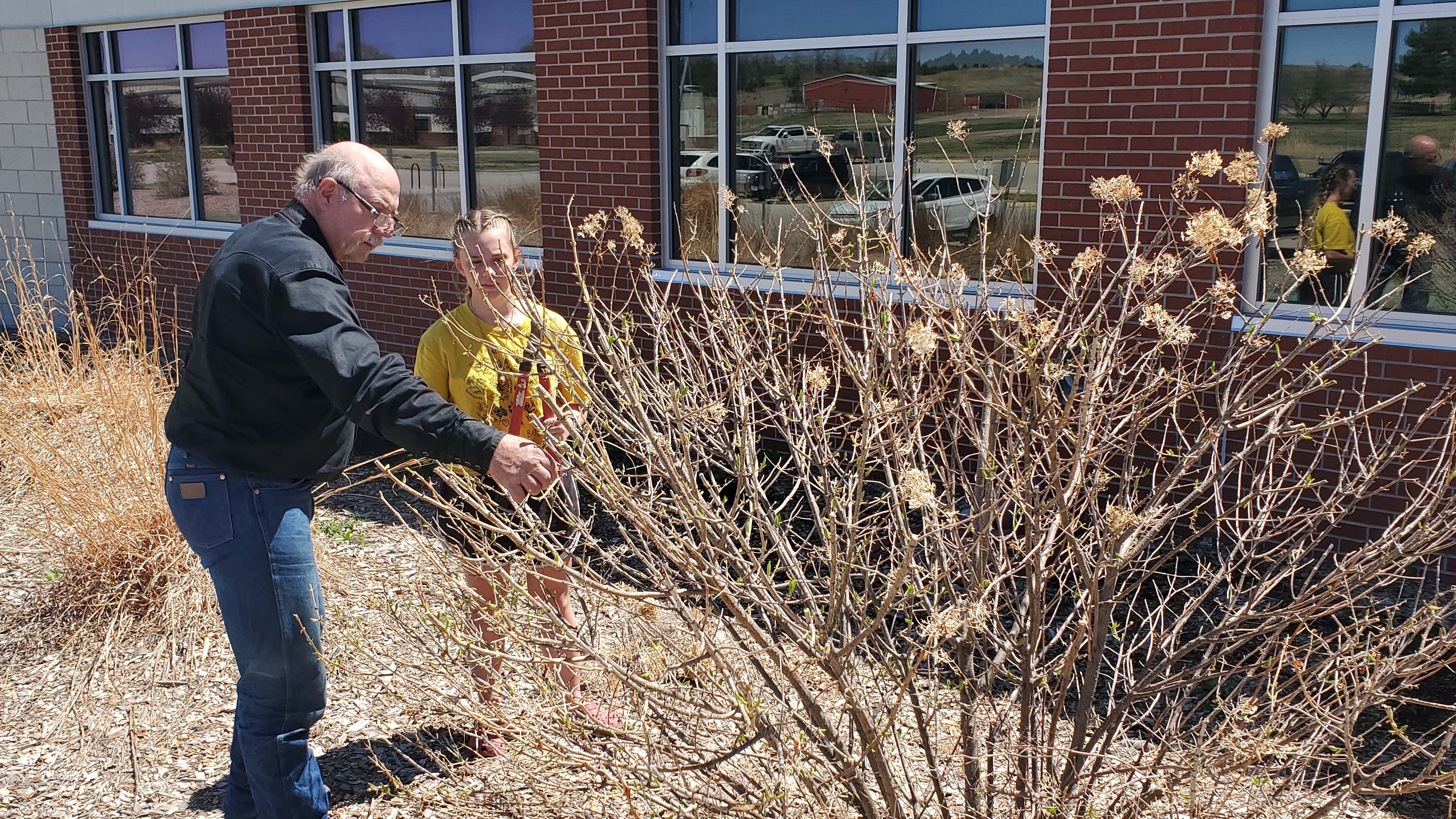 Elie Madsen, a freshman Veterinary Technology student from Maxwell, trims a shrub at the Nebraska College of Technical Agriculture on Thursday.  Elie, president of the Horticulture Club, visits with NCTA Instructor Dan Stehlik about pruning techniques. (Crawford / NCTA News photo)  