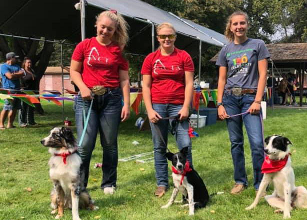 Student volunteers with the NCTA Stock Dog Team gathered at City Park for Curtis Fall Festival, 2020. (NCTA photo)