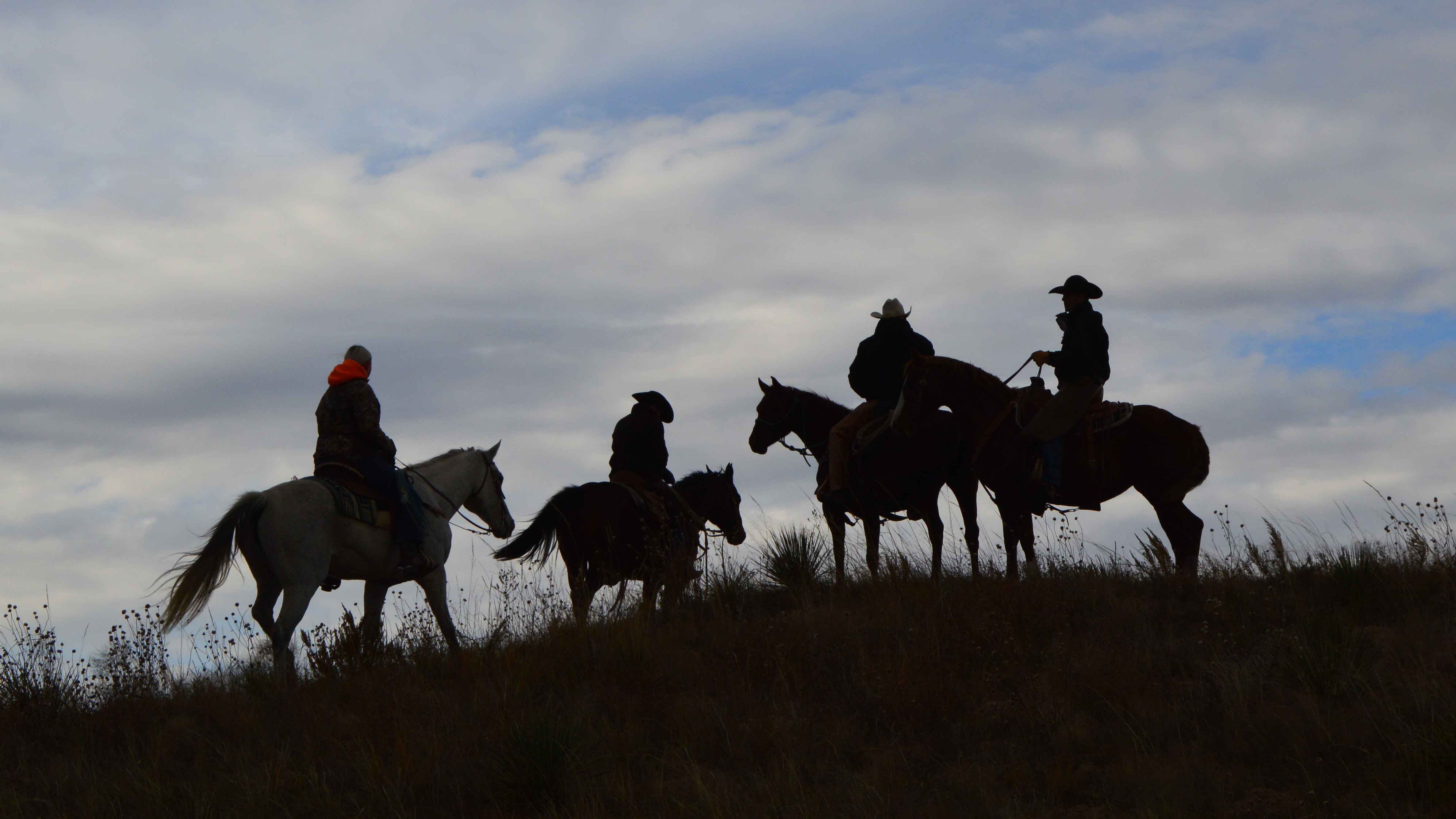Horses and riders from the Nebraska College of Technical Agriculture in Curtis gather in a pasture where a college cow herd grazed in summer of 2017. Students value the mentors and close relationships they forge with agricultural families during their years at NCTA. (Mary Crawford photo / NCTA archives)
