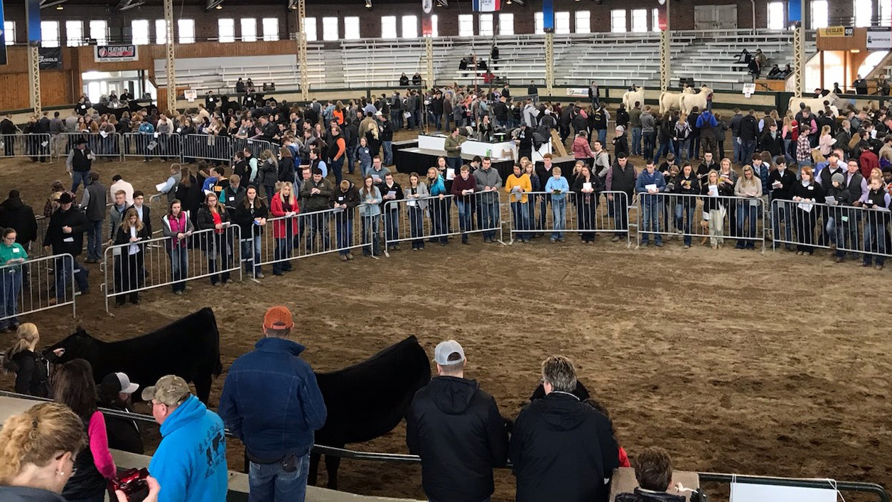 The Iowa Beef Expo livestock judging contest draws collegiate teams from throughout the Midwest. NCTA had six students evaluating cattle and giving oral reasons last Sunday, as depicted in a photo from a previous year. (NCTA photo archives)