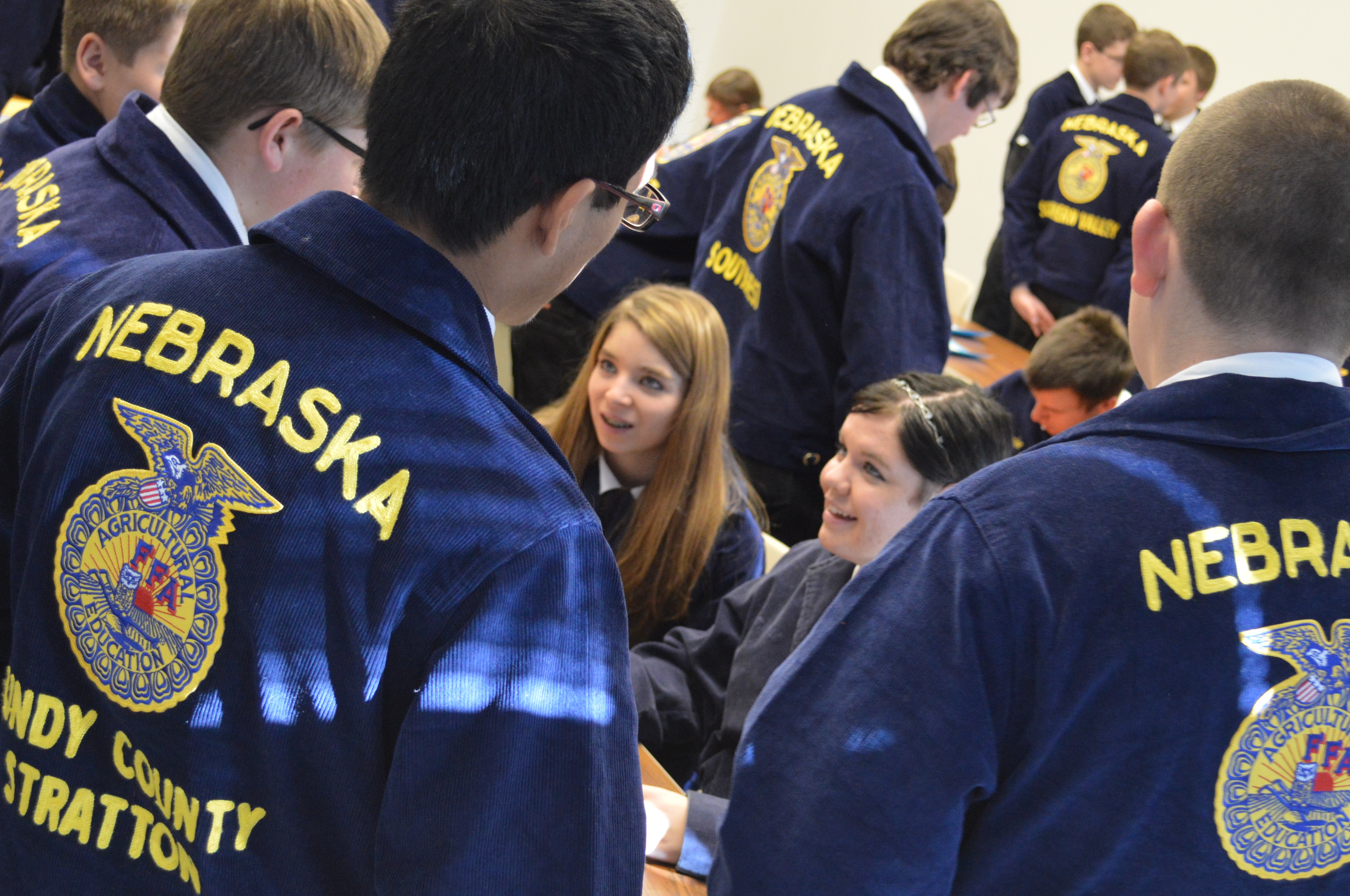 FFA students compete in a District FFA livestock management contest at NCTA. (Crawford/NCTA photo)