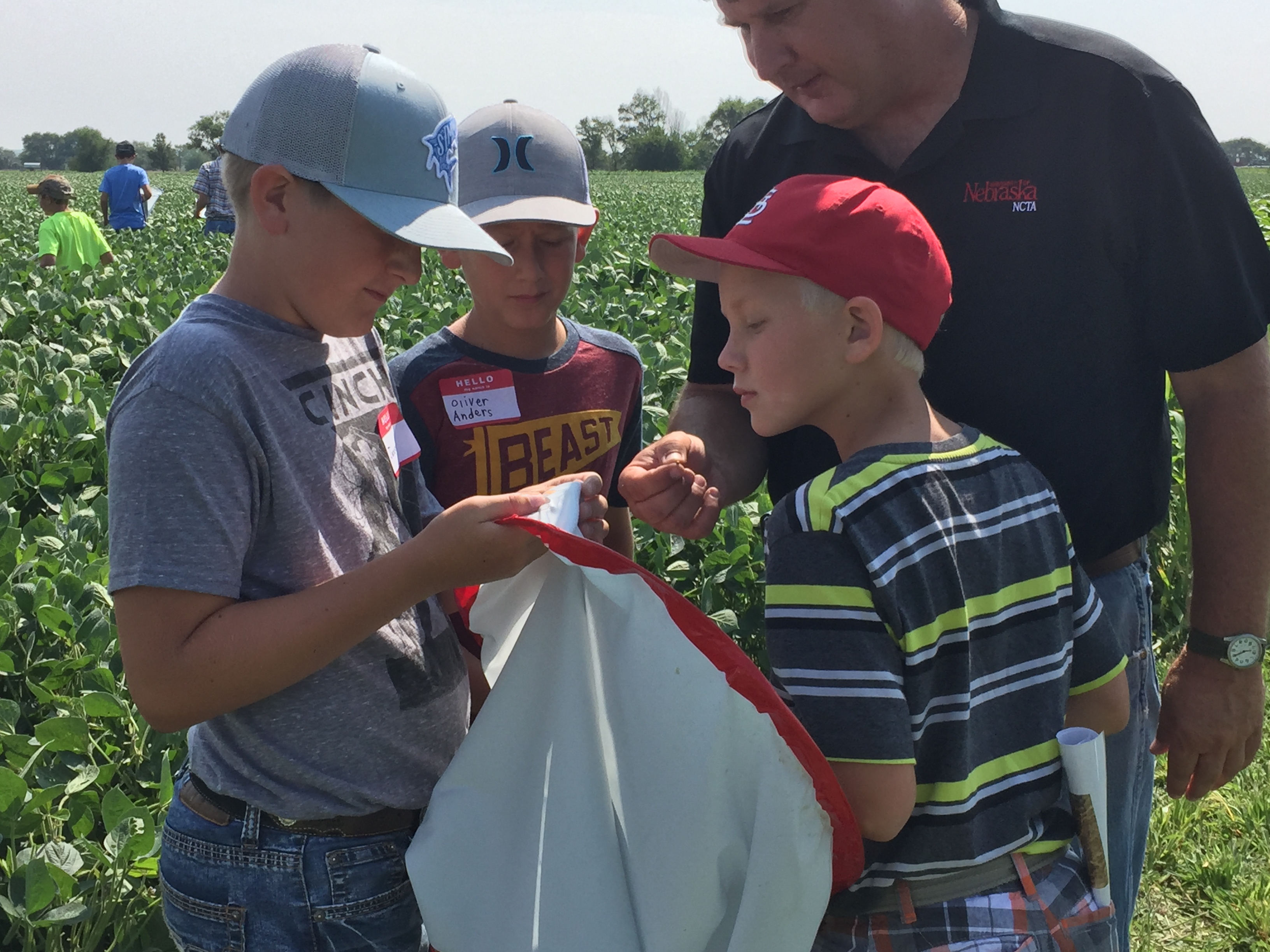 Students use an insect net to catch insects found in crops at the NCTA field laboratory. (Kathy Burr, Nebraska Extension photo)