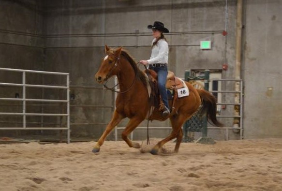 Rebekah Miller rides NCTA’s own Big Gem Surprise in her first Ranch Horse Team contest. (Photo by Shae DeNayer, NCTA) 