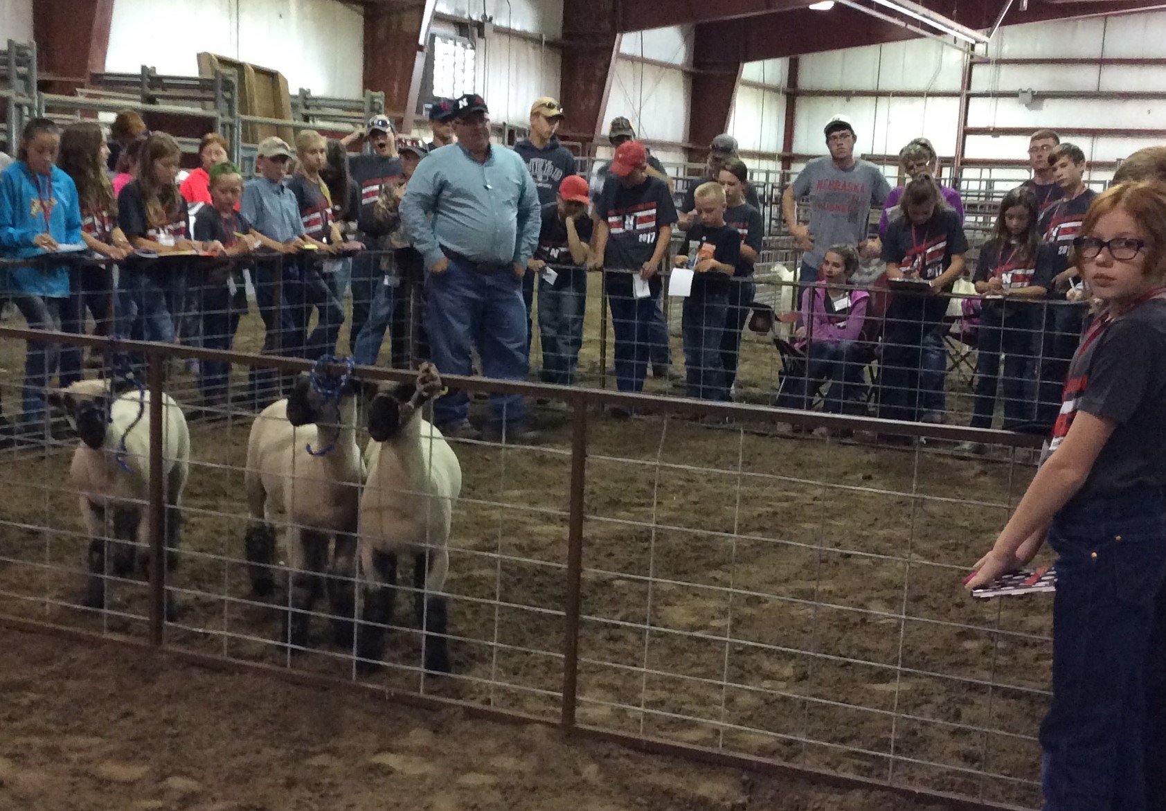  Dr. Doug Smith explains sheep judging at the Standard of Excellence Livestock Judging Camp at NCTA. (File Photo)