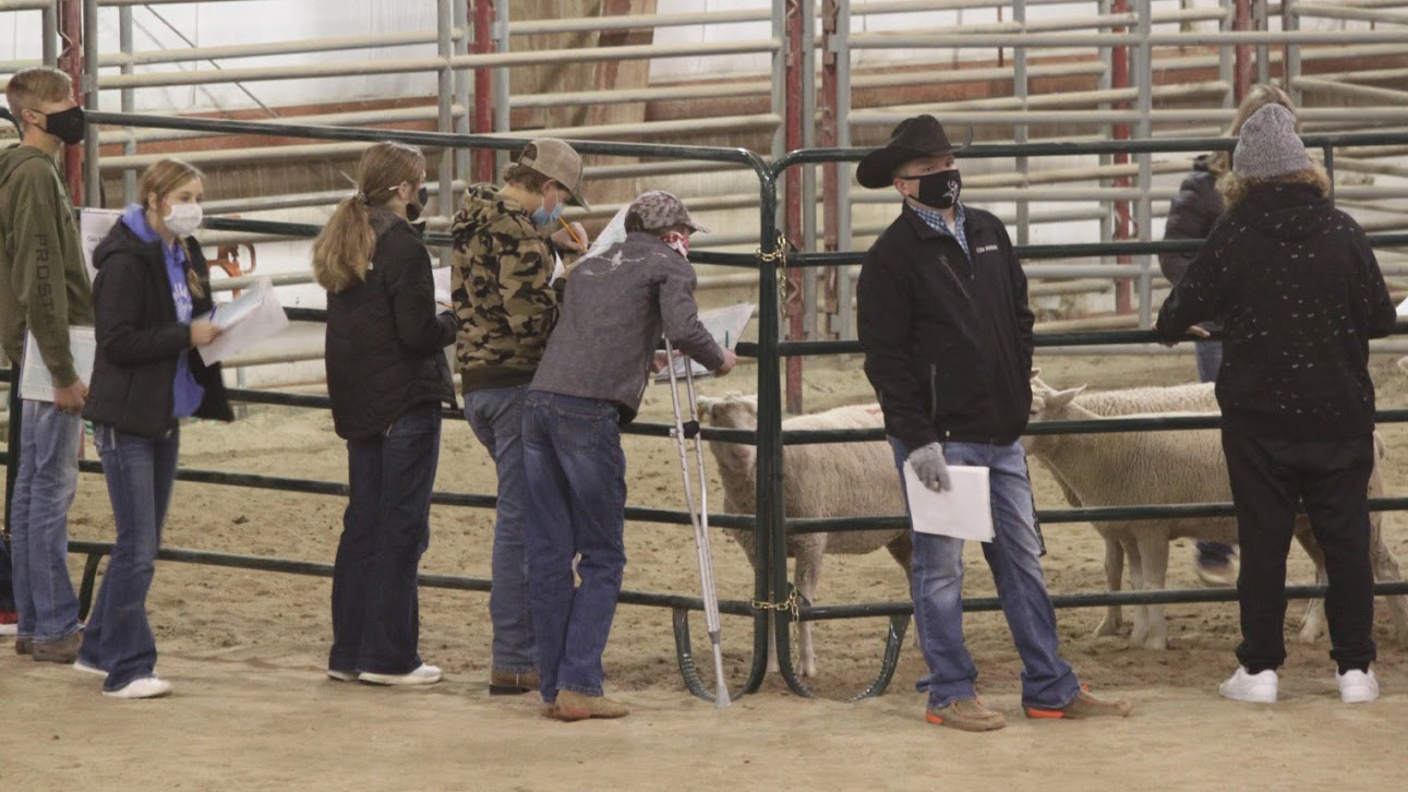 Youth livestock judging camp is May 2627 Nebraska College of