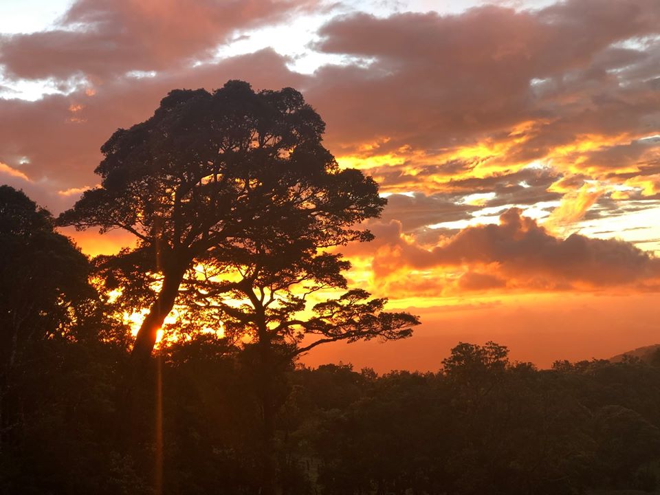 Viewing the sunsets seen in Costa Rica was one of many rich experiences for NCTA students in a winter session study trip. (Photo by Chrissy Starkey)