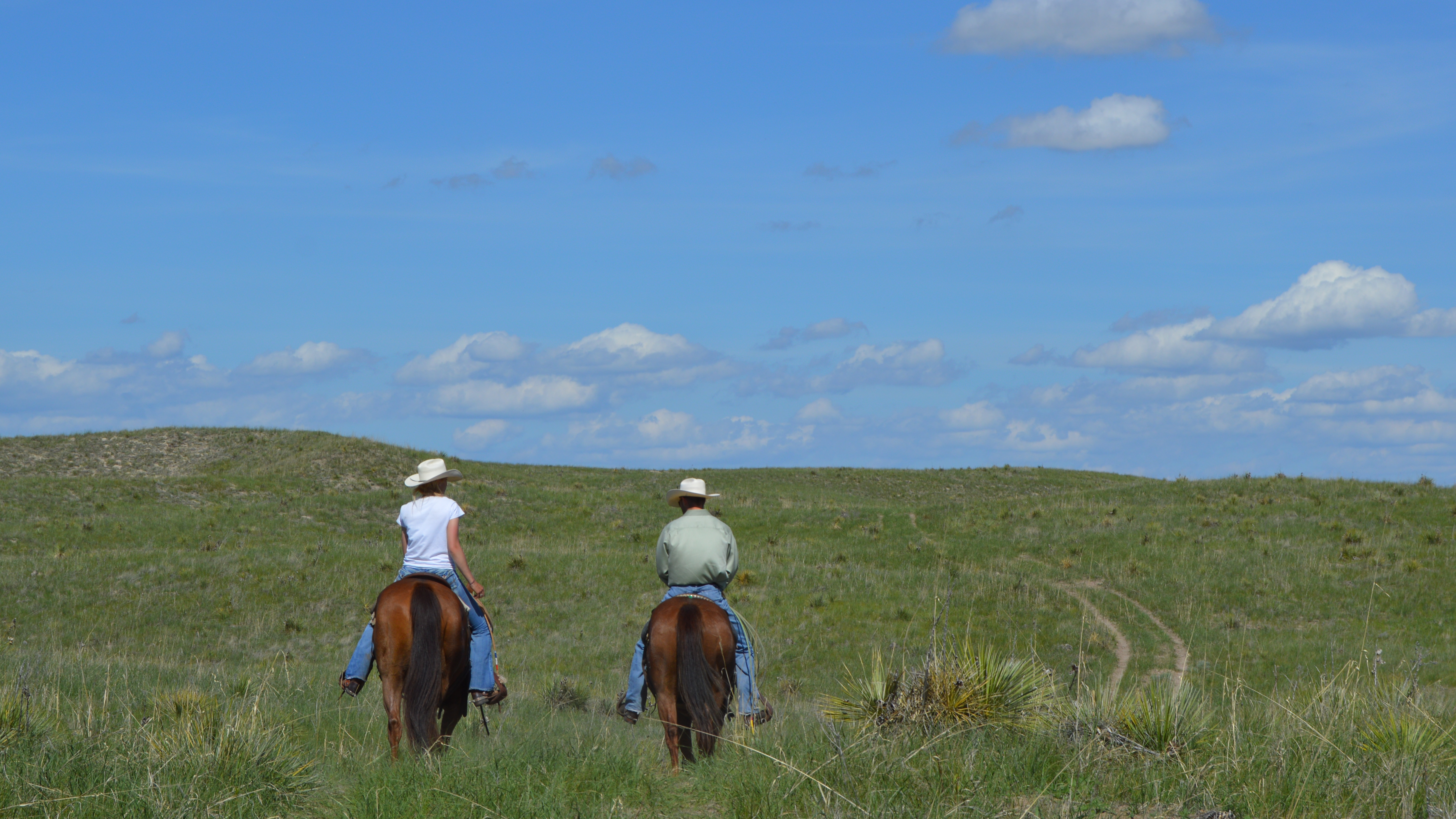  A relaxing horseback ride in wide open spaces can be a healthy avenue for recreation and improving wellness through physical fitness. (Mary Crawford photo / NCTA News)  