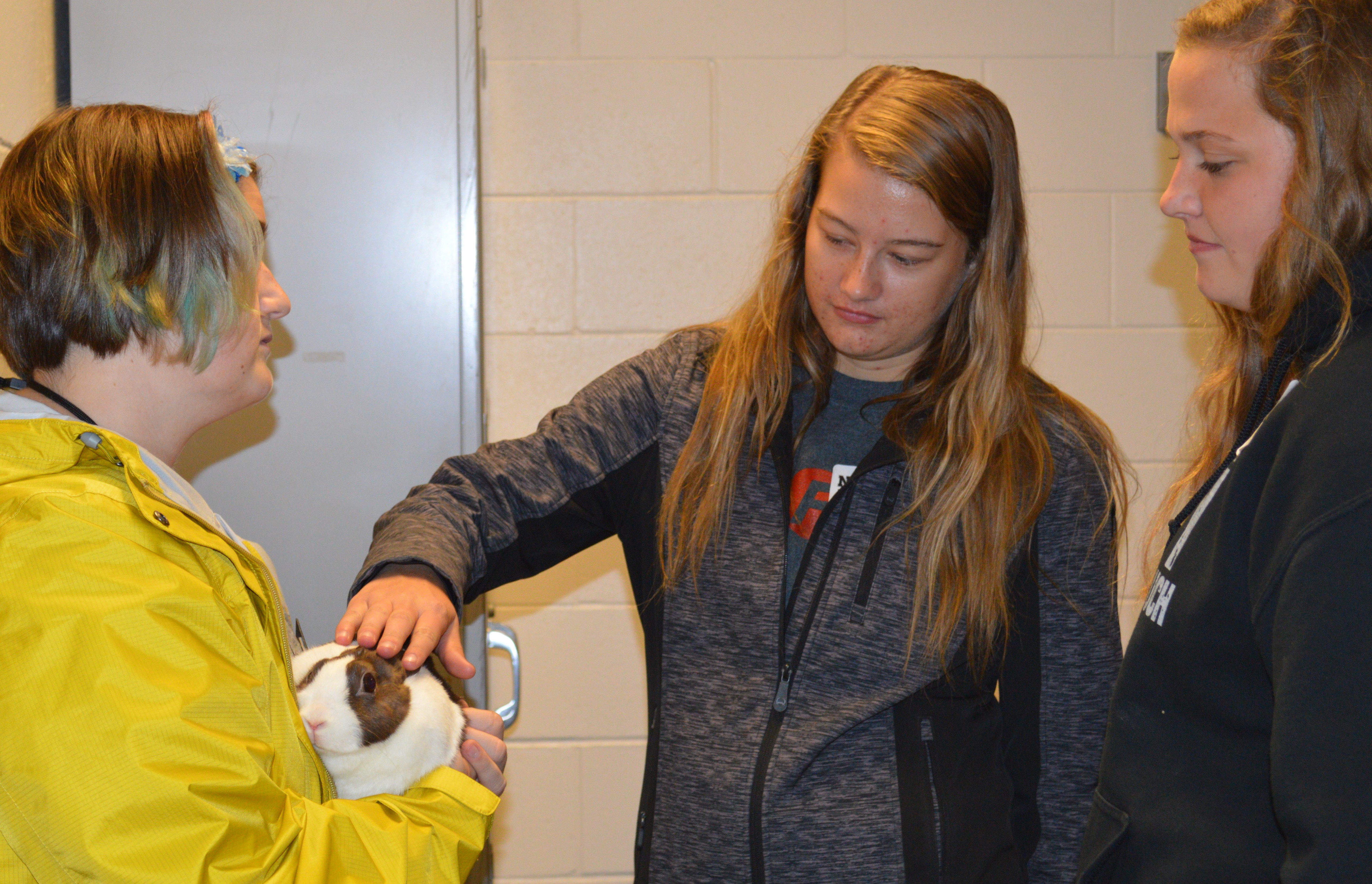 A rabbit at the Veterinary Technology complex drew attention at NCTA Discovery Day in October. Students can tour campus and see academic programs at the Nebraska College of Technical Agriculture in Curtis again on Monday, March 4. (Griffiths/NCTA Photo)