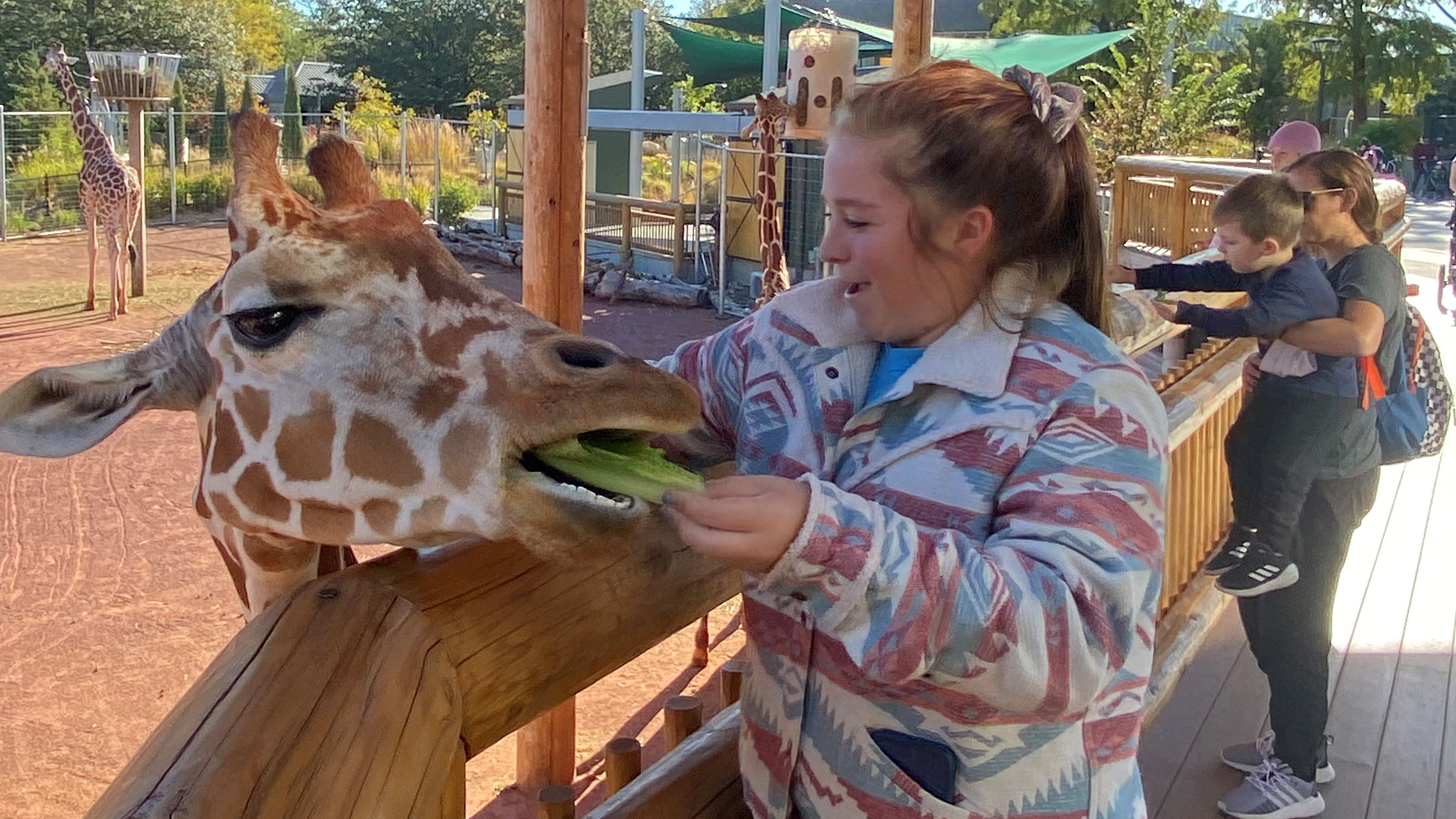 Emma Hollenback, a Nebraska College of Technical Agriculture Aggie feeds a giraffe at the Children's Zoo in Lincoln. The Student Technicians of Veterinary Medicine Association enjoyed a field trip over fall break. (Photo by Melody MacDonald) 