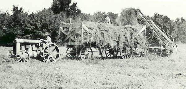 Early-day hay harvest at the campus farm in Curtis. The high school opened in 1913 and it became an NU college in 1965. (NCTA Photo Archives)