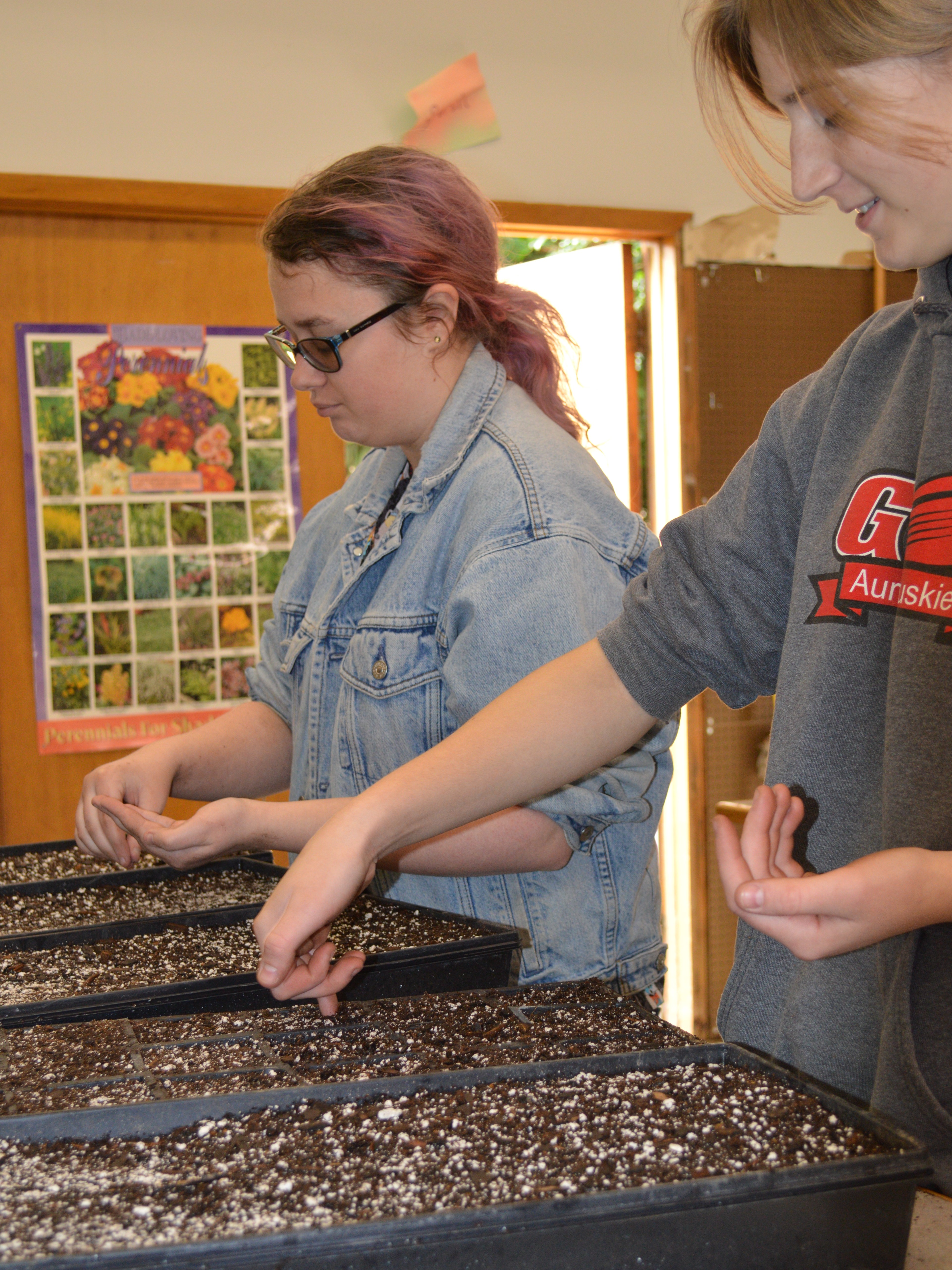 Horticulture Club members left, Hannah Friend of Camp Hill, Pennsylvania, and Rebecca Saddler of Aurora, plant seeds at the NCTA greenhouse this winter.  The club’s annual plant sale is Saturday and May 1.  (Photo by Kelly Gordon, NCTA student)