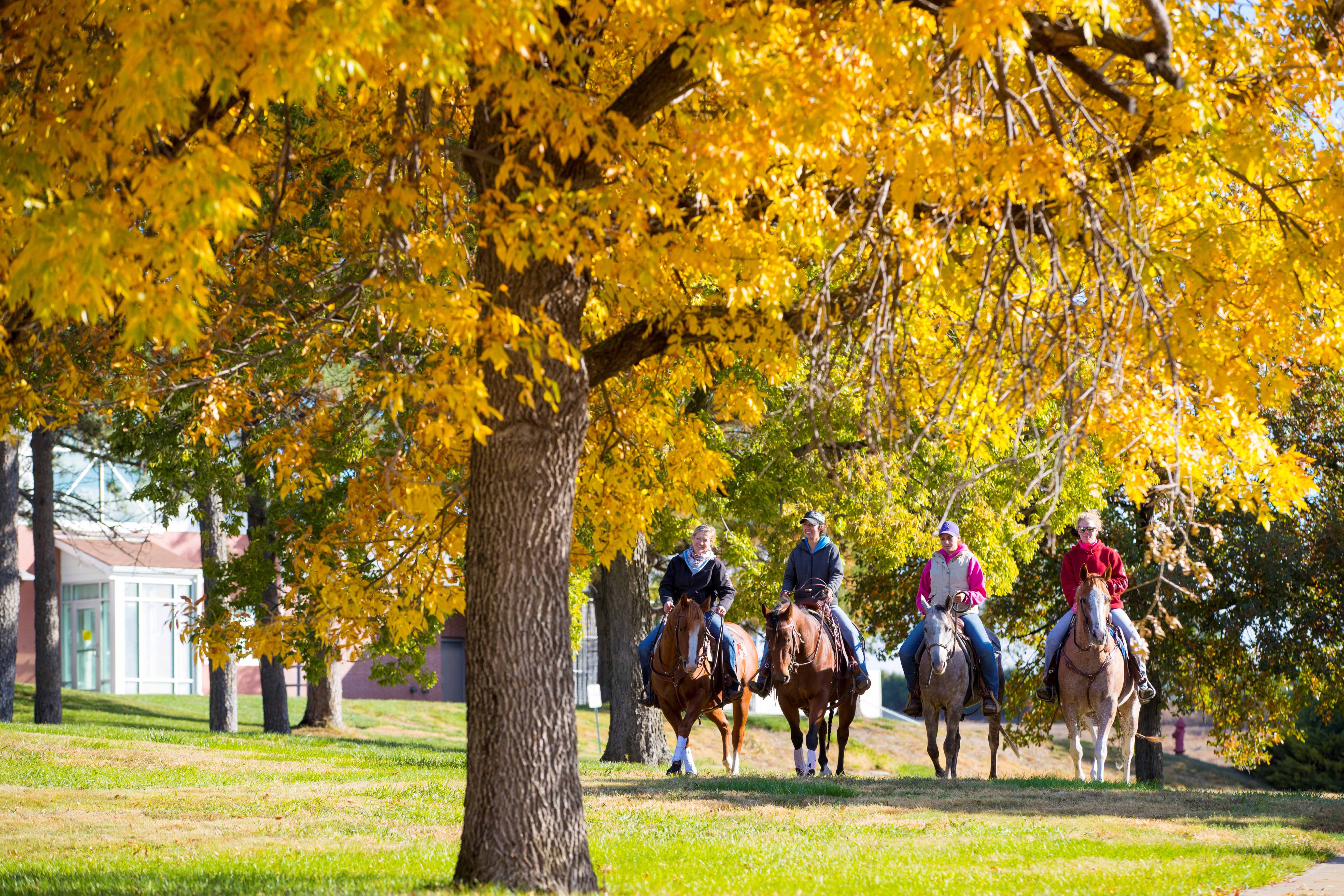 Autumn provides a scenic ride near the NCTA Vet Tech complex on campus. (Chandler/NCTA Photo)