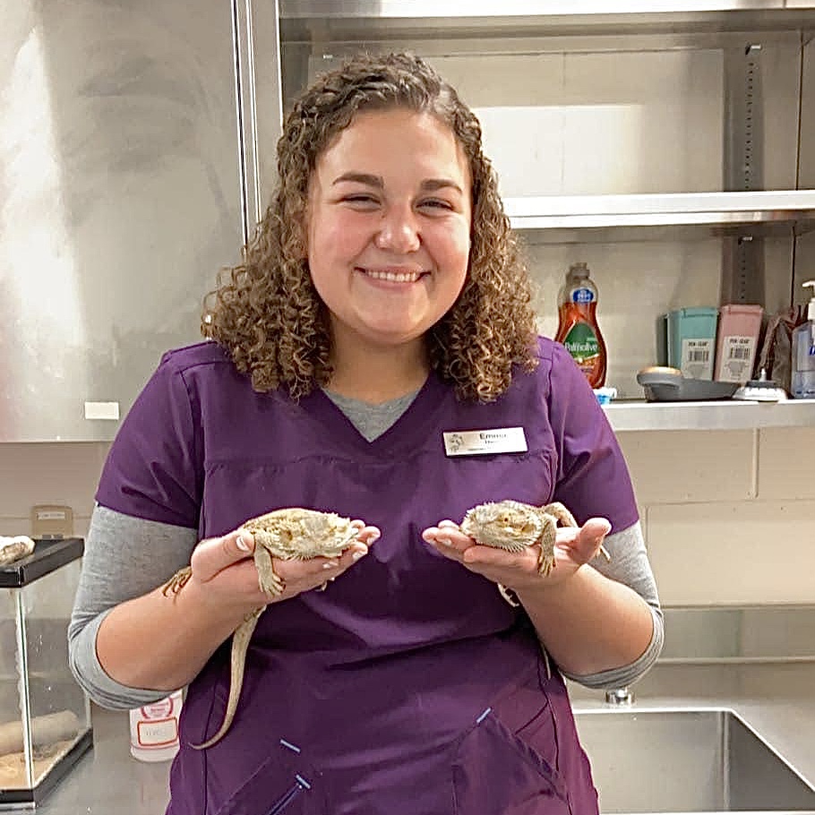 Vet Tech Student taking care of lizzards