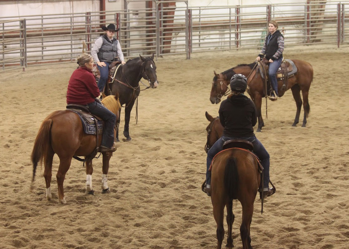 Students participate in an equine class in the arena.