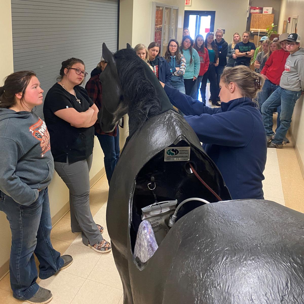 Equine Stimuloar is used at NCTA to provide a safer enviroment for training students about large animals.