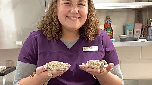Vet Tech Student taking care of lizzards