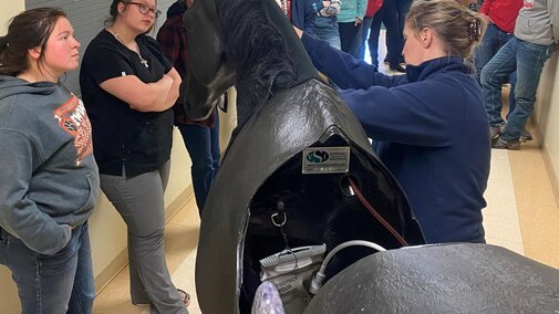 Equine Stimuloar is used at NCTA to provide a safer enviroment for training students about large animals.