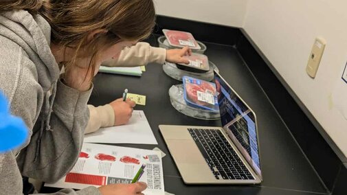 Students analyze packaged meat samples beside a laptop on a laboratory counter.