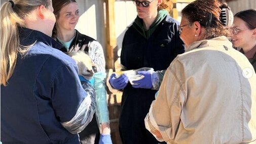 Group wearing gloves and jackets gathered in a barn, holding a small animal and containers.