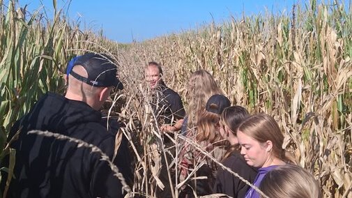 Student group walking through a tall cornfield under a clear blue sky.
