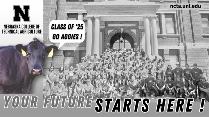 First-year Aggies gather on the steps of Ag Hall during new student orientation weekend. (P/C N. Dragoo)