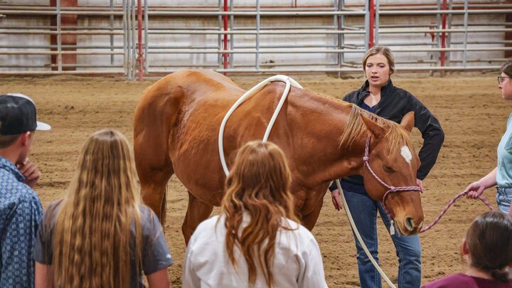 Hanna Rainforth demonstrates equine sports therapy techniques to NCTA students and visitors on the NCTA campus.