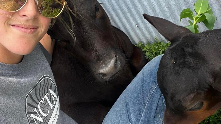 Taylor Wilson, an animal science major from Hastings, hangs out with some calves. She has thrived at NCTA with involvement on the Livestock Judging and Rodeo Teams. Watch for a video all about Taylor on our social media this week. 