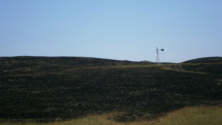 Burned Sandhills pasture with blackened grass and a windmill on the horizon. Overlaid text reads “Wildfire Recovery for Farmers & Ranchers,” with Nebraska Extension, USDA Farm Service Agency and Natural Resources Conservation Service logos at the top.