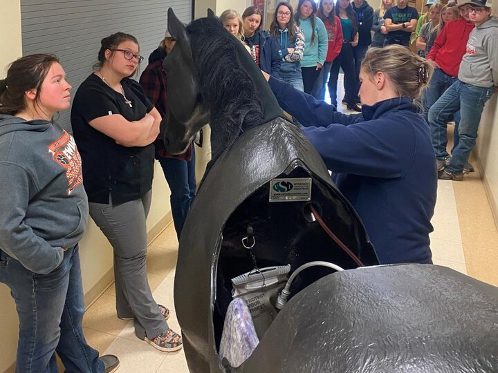 Equine Stimuloar is used at NCTA to provide a safer enviroment for training students about large animals.