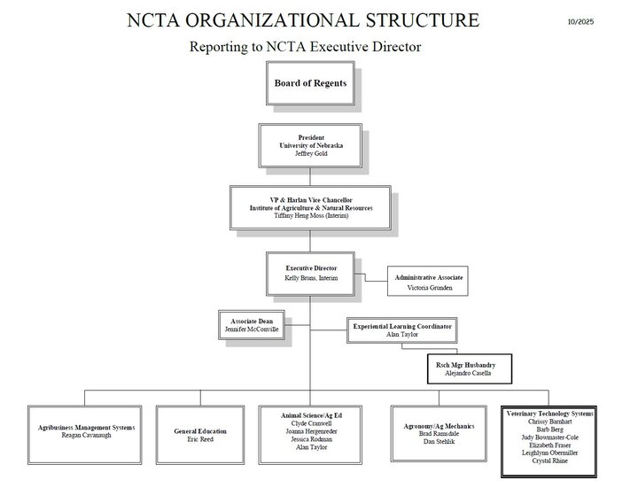 Organizational Chart reporting to Executive Director