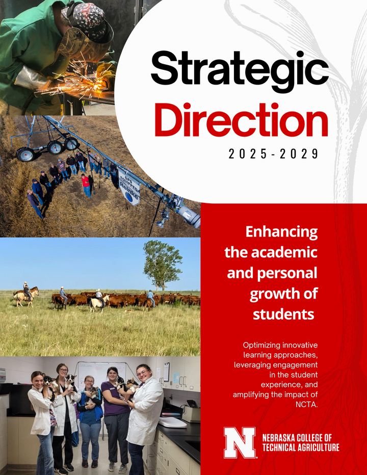 Strategic Direction cover