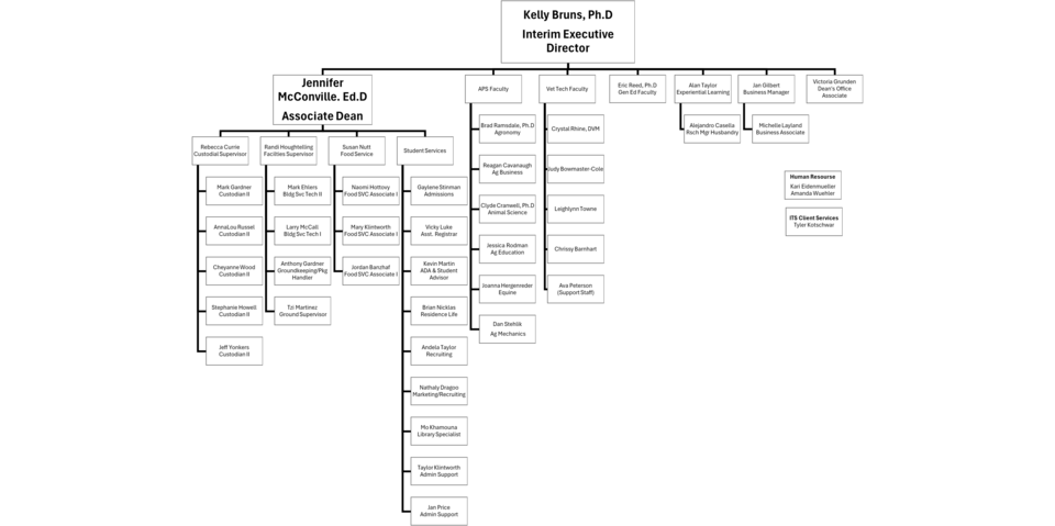 Organizational chart with multiple names and roles connected under leadership titles.