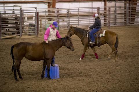 NCTA equine students work with their horses at the indoor arena of the Livestock Teaching Center. (Craig Chandler / NCTA photo)