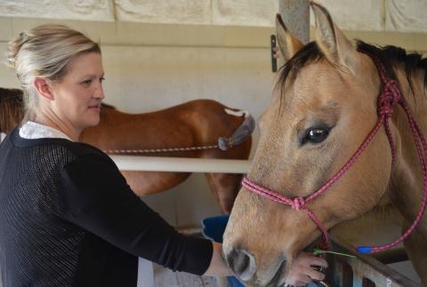 Animal Science professor Joanna Hergenreder teaches equine courses and coaches the NCTA Ranch Horse Team. (Crawford/NCTA News photo)