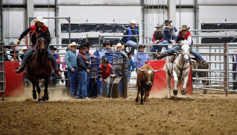 Cash Talamantez, right, header with team roping heeler, Ty Hermelbracht, left, compete in the short-go at the University of Nebraska-Lincoln Rodeo. The NCTA Aggies finish their regular season May 6. (Craig Chandler/University Communication photo)