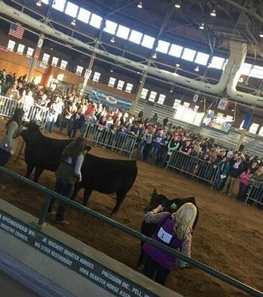 NCTA was among 22 teams from 10 colleges in the 2-year division at the Iowa Beef Expo. (Hinrichs/NCTA photo)