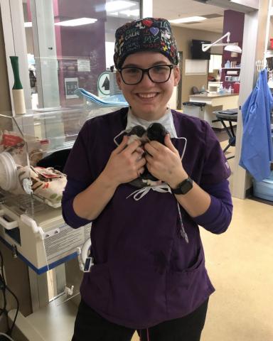 Chrissy Starkey, NCTA veterinary technician graduate, recently helped deliver bulldog puppies via C-section in her new position with a veterinary business in Kansas. (MEVSH photo)