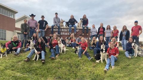 This week’s Aggie Club Highlight comes to us from the Stock Dog Club. (Photo by Annie Bassett, NCTA)